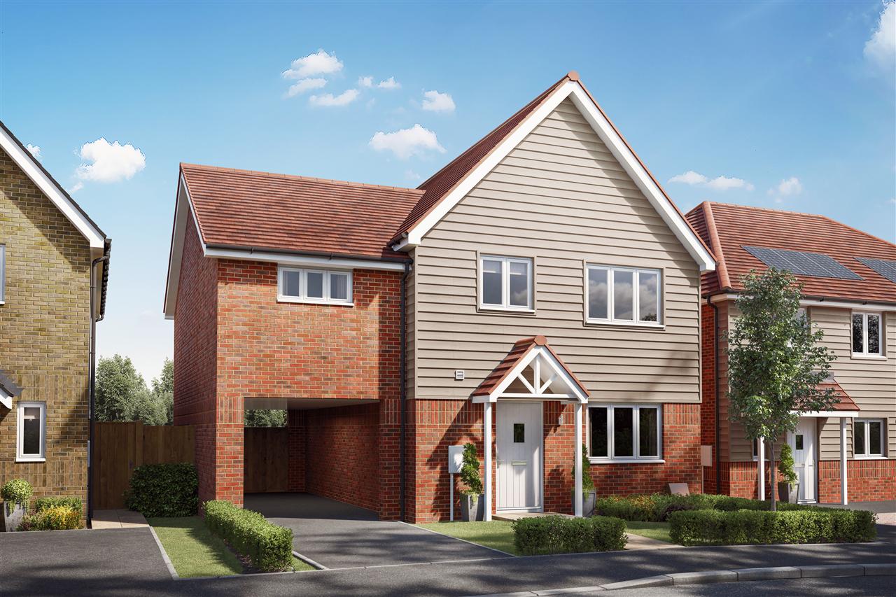 Bilberry, Plot 50 Image